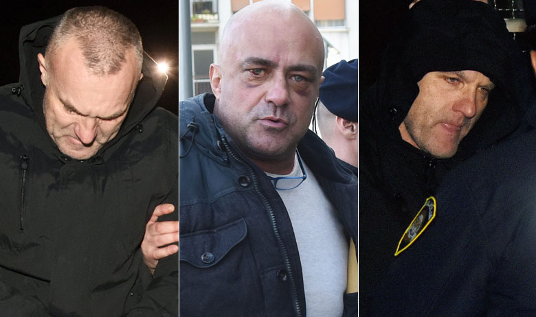 Darko Purgar, Leon Lučić i Andrija Vrhovac