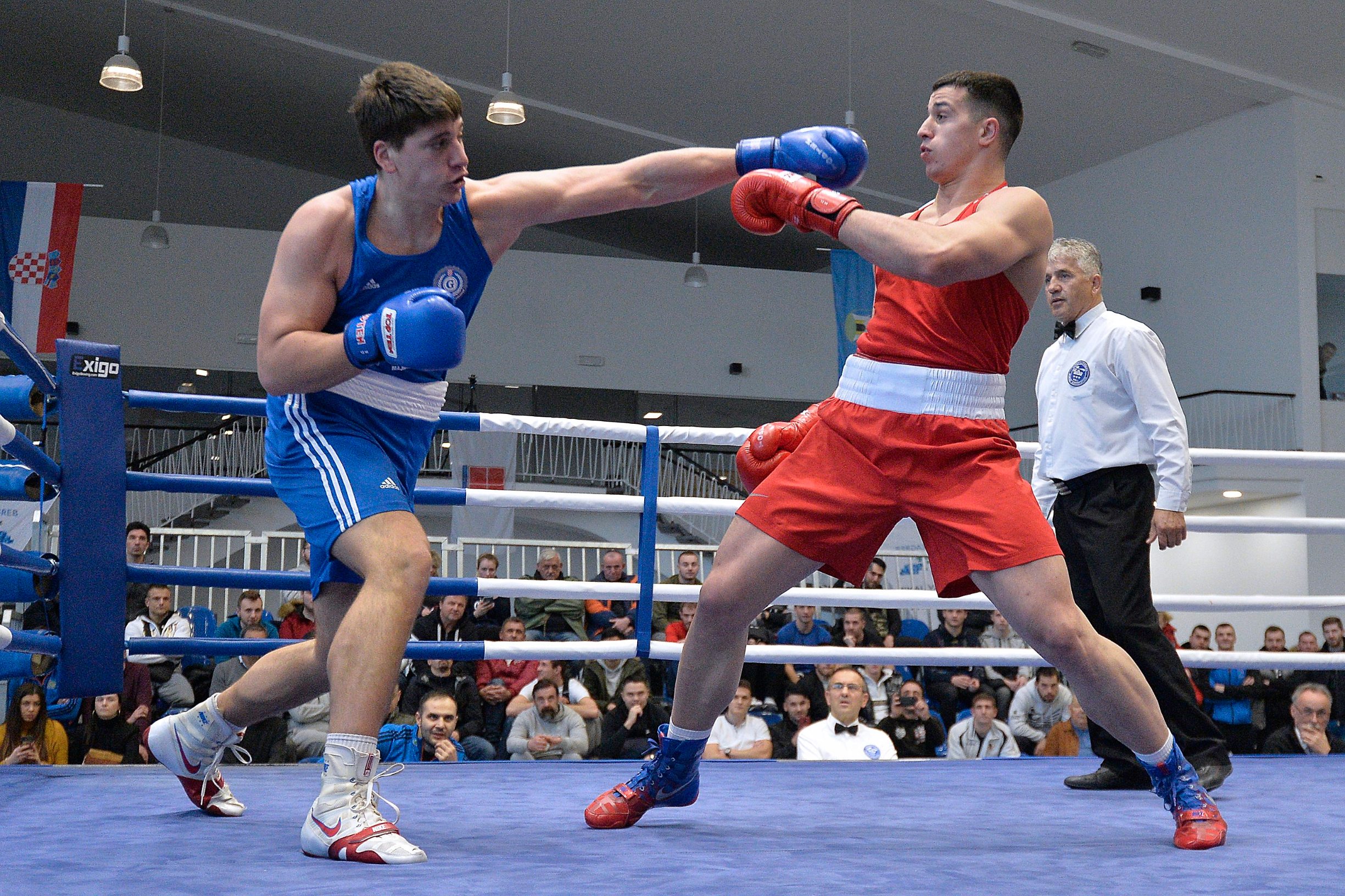 Milun vs. Babic