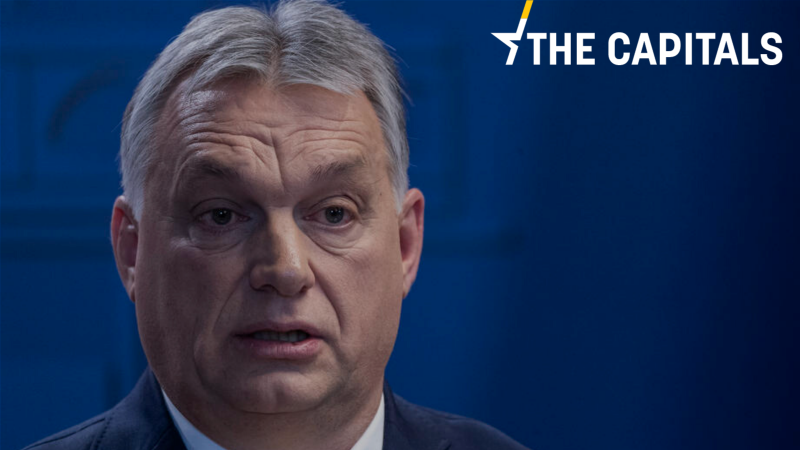 viktor-800x450