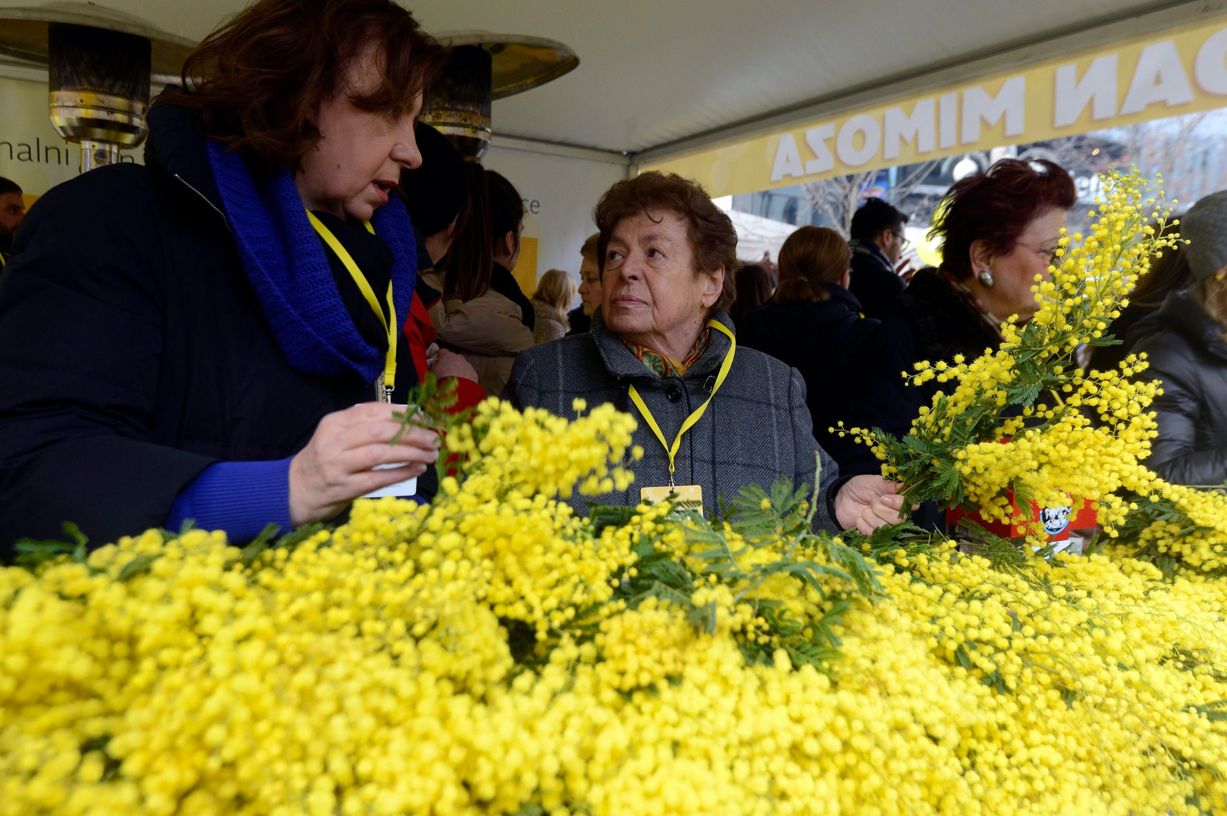 Ana Stavljenić Rukavina