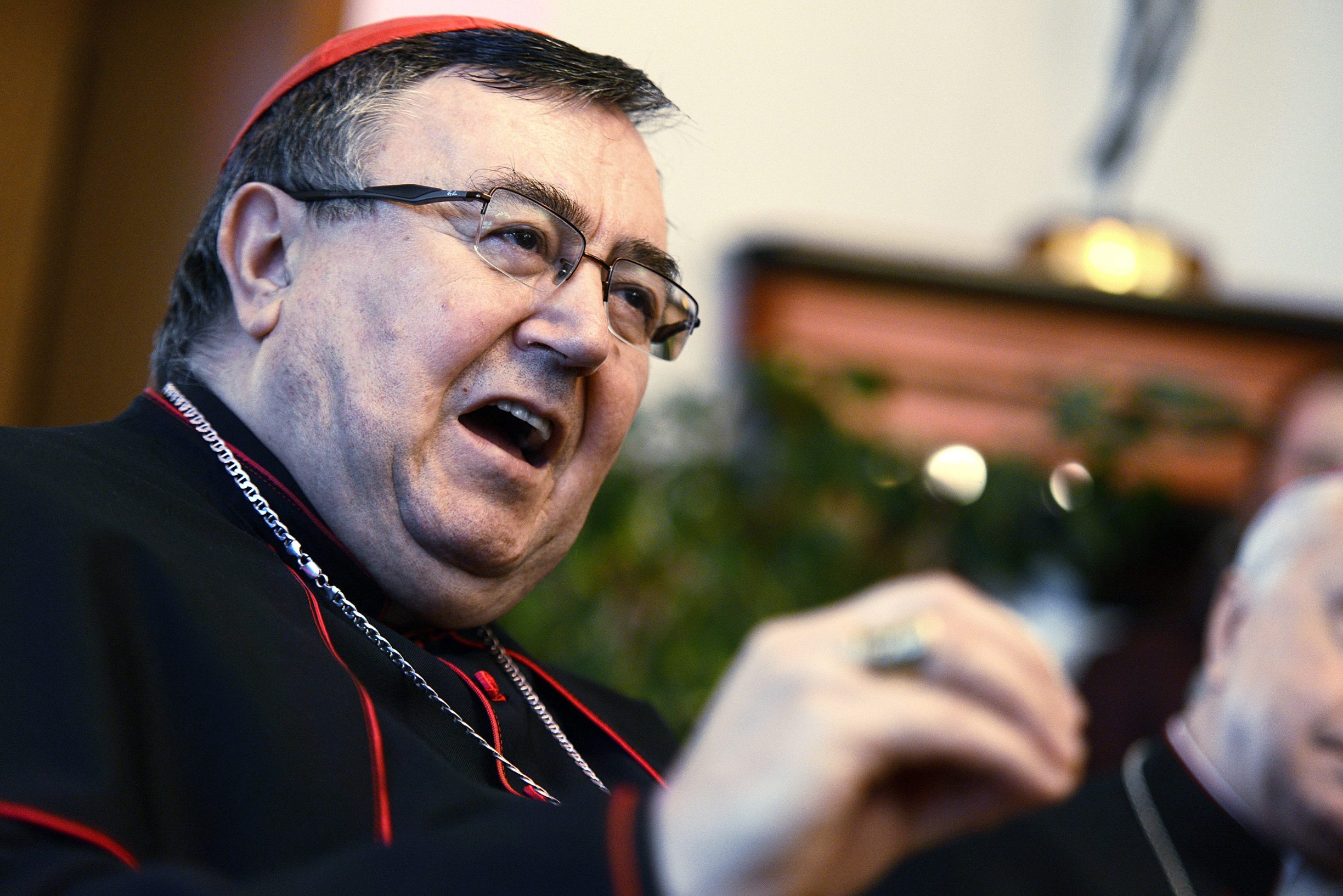 Kardinal Vinko Puljić