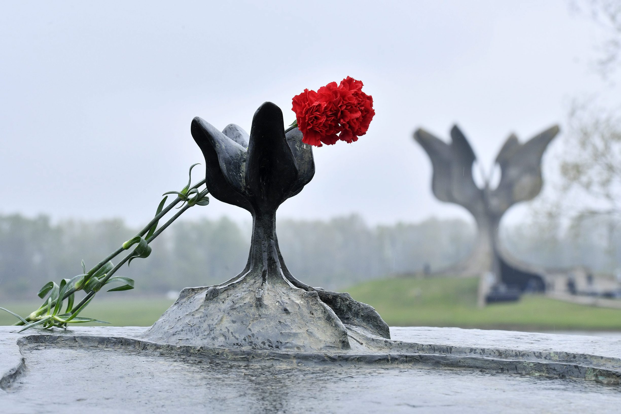 4-2019_CROPIX_izbor19