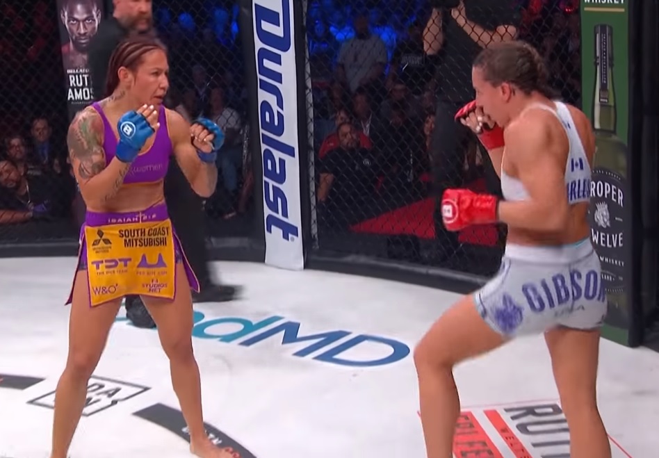 Cyborg vs. Budd