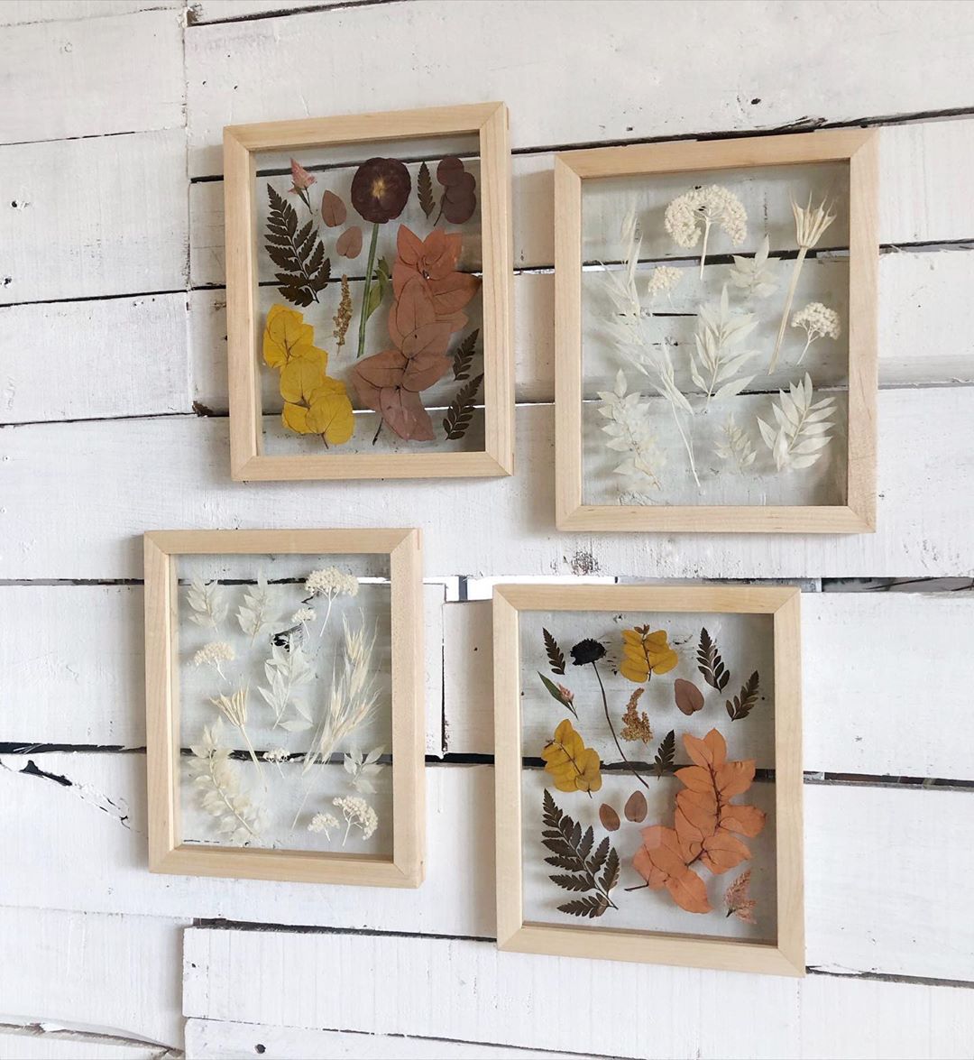 79841567_156622262294916_6852903877556061168_n