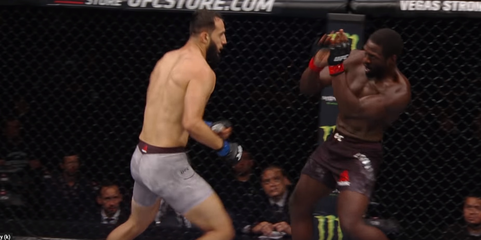 Reyes vs. Cannonier