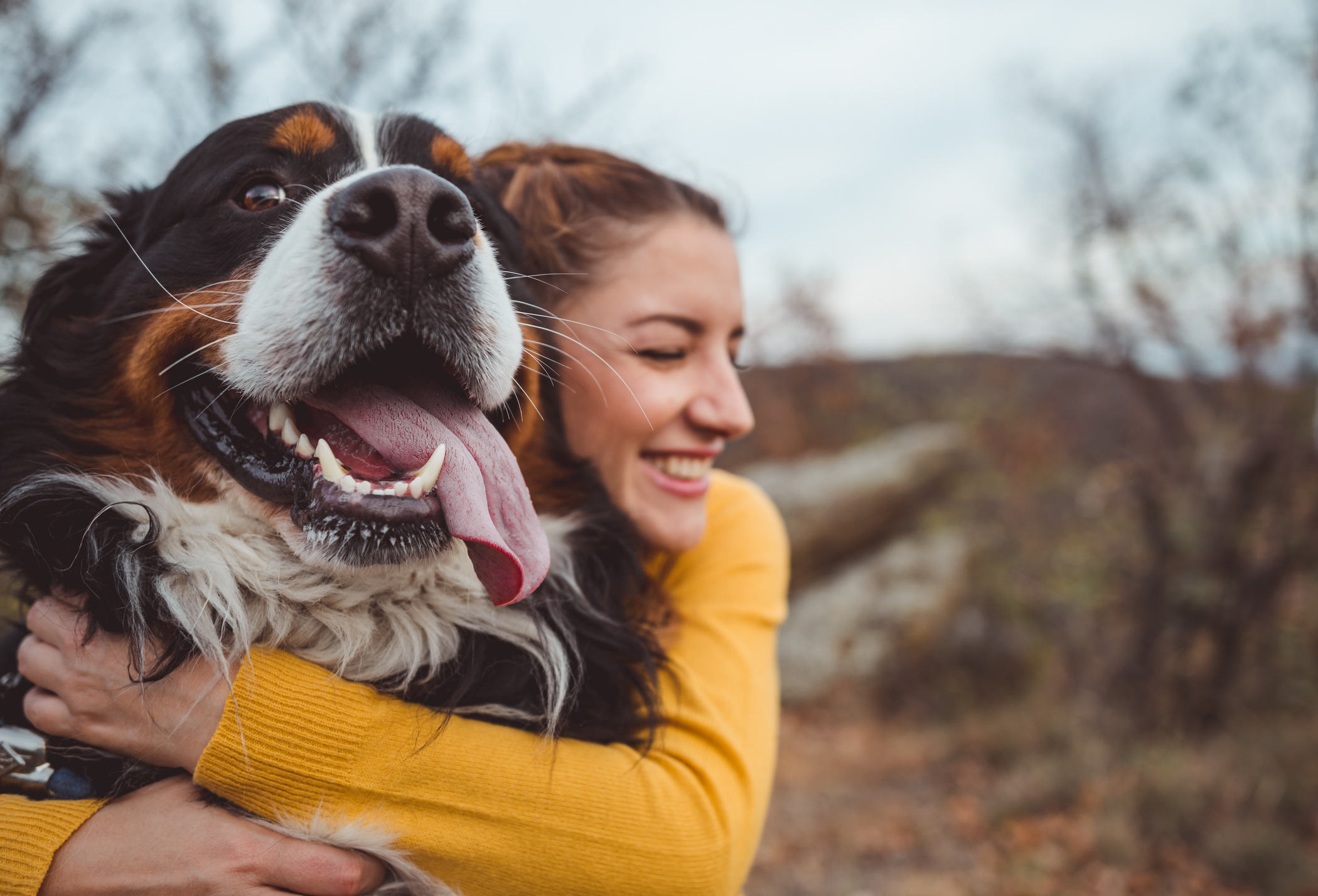 iStock-1060529042