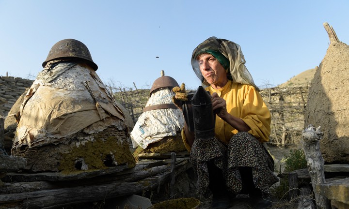 HONEYLAND_Photo_byLjuboStefanov