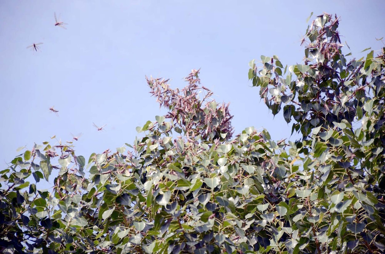 profimedia-0483937452