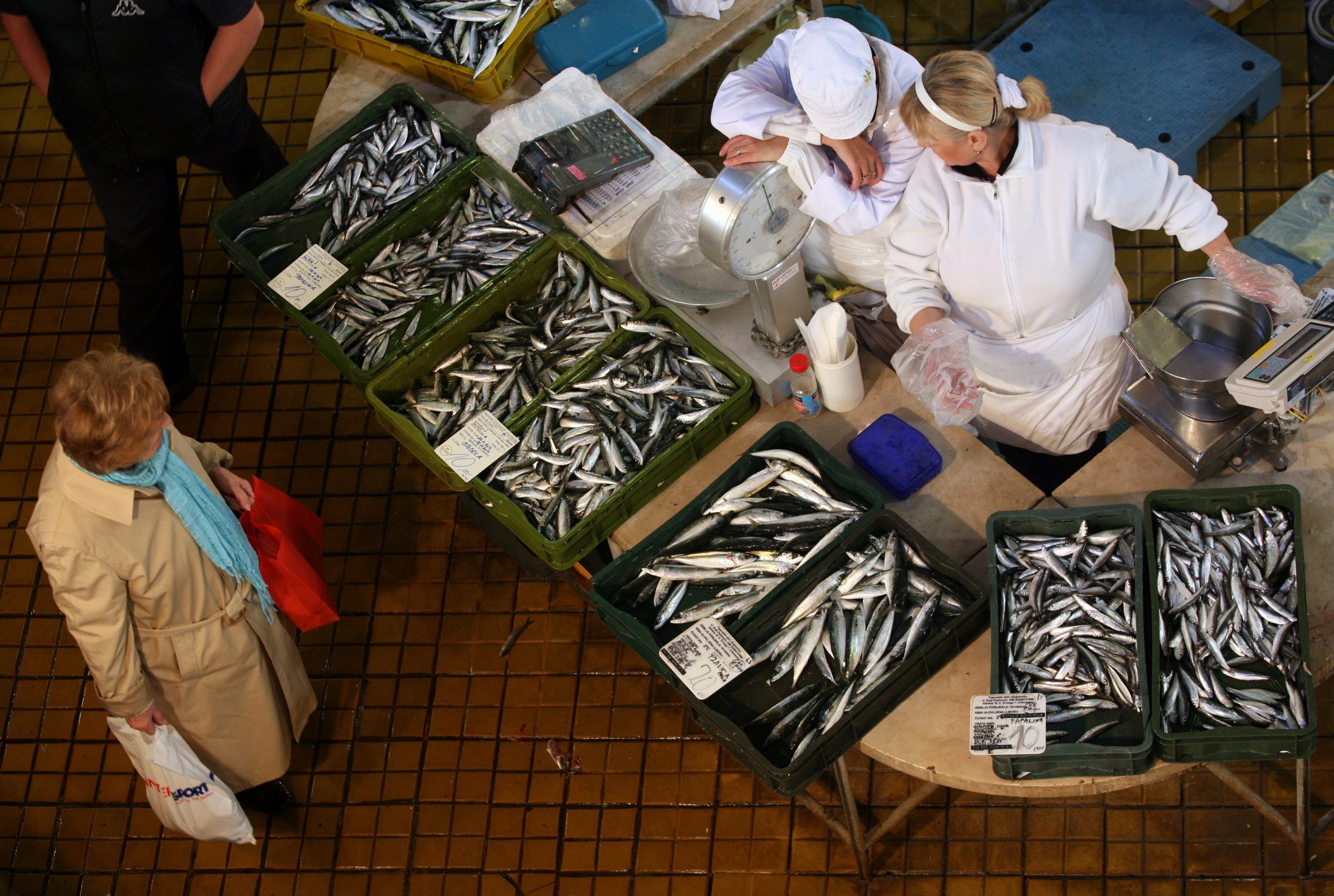  Small pelagic fish on the fish market 