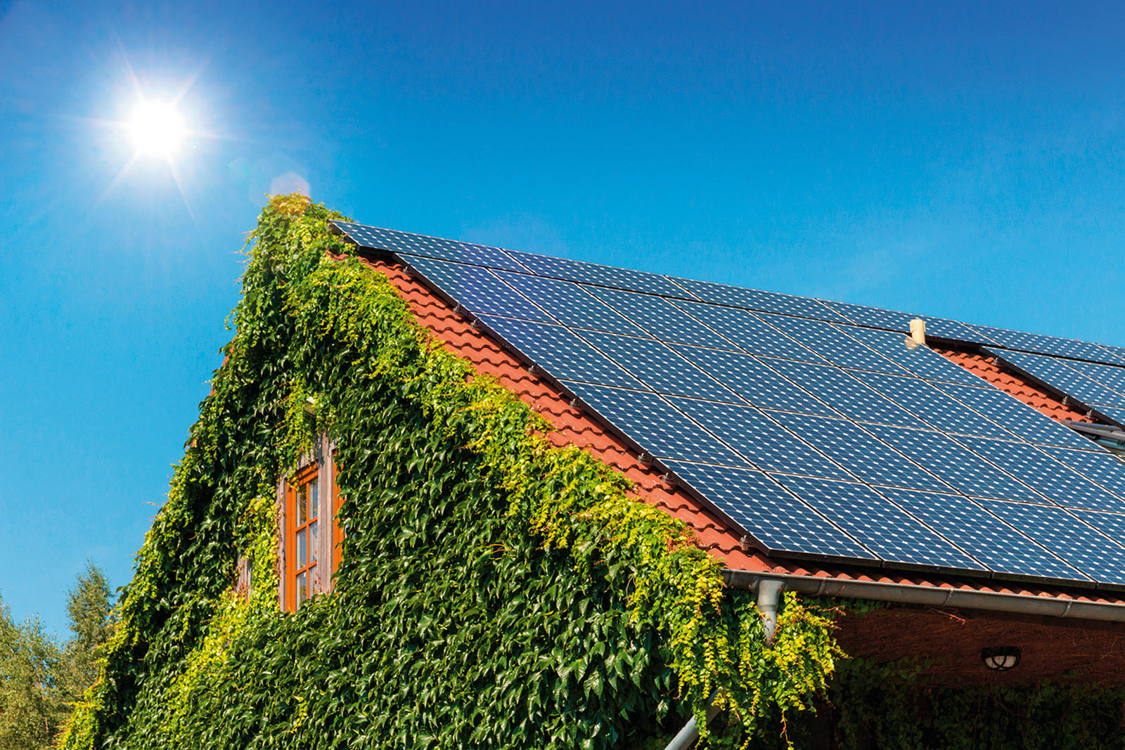 shutterstock-670892503