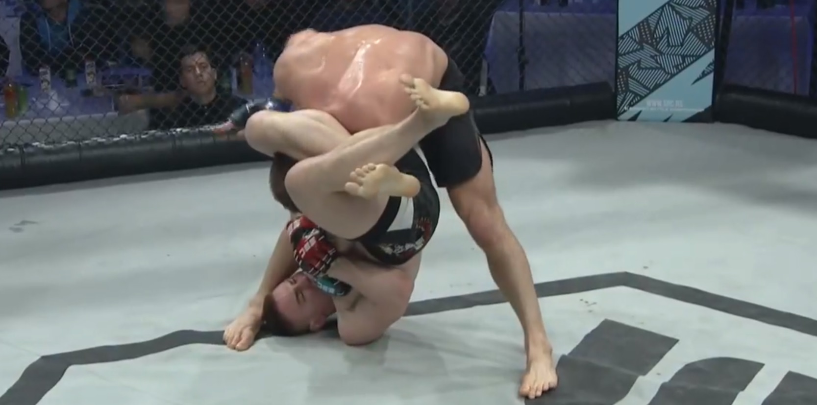 Vasilyev vs. Ibragimov