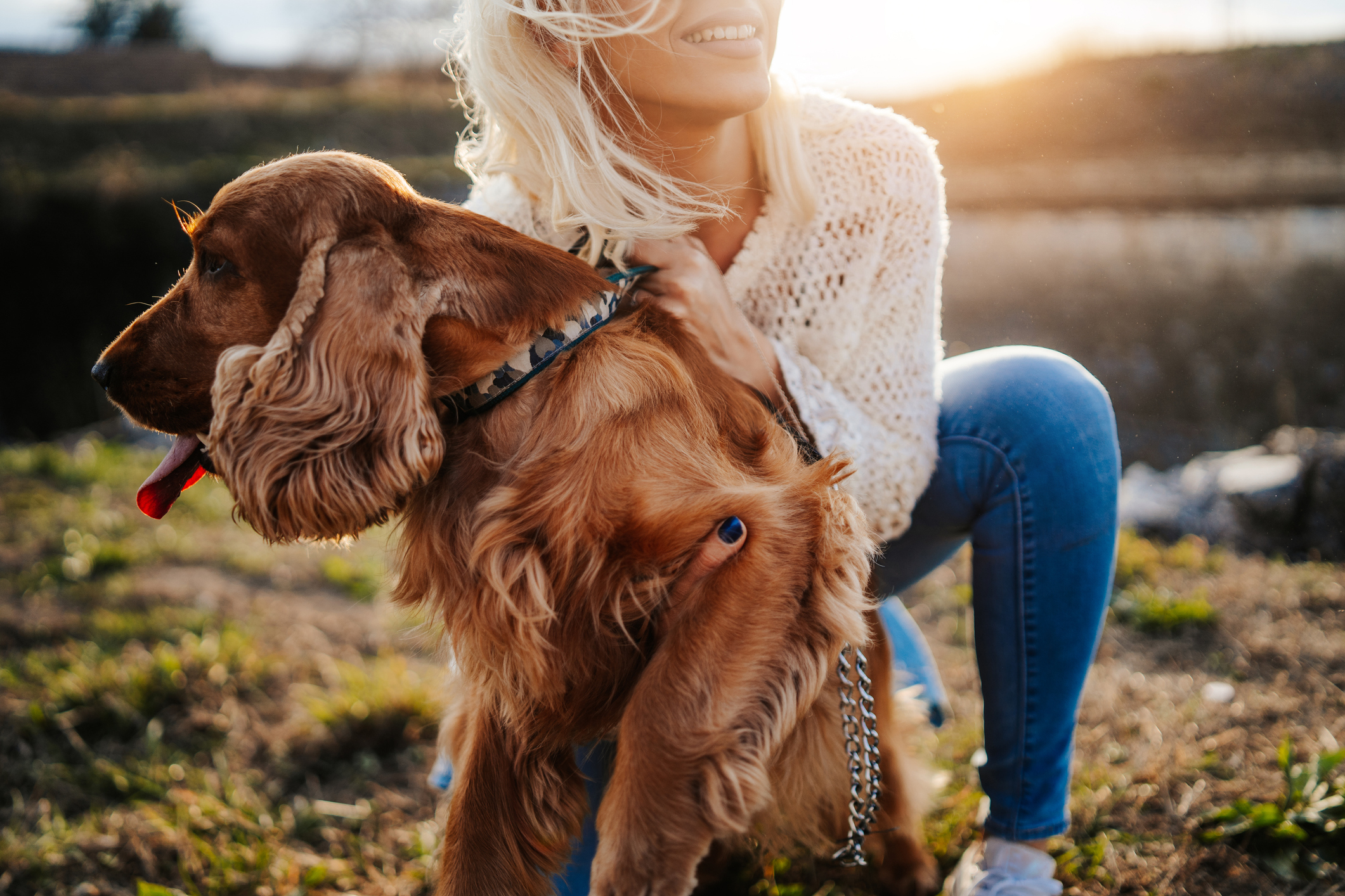 iStock-1138608434