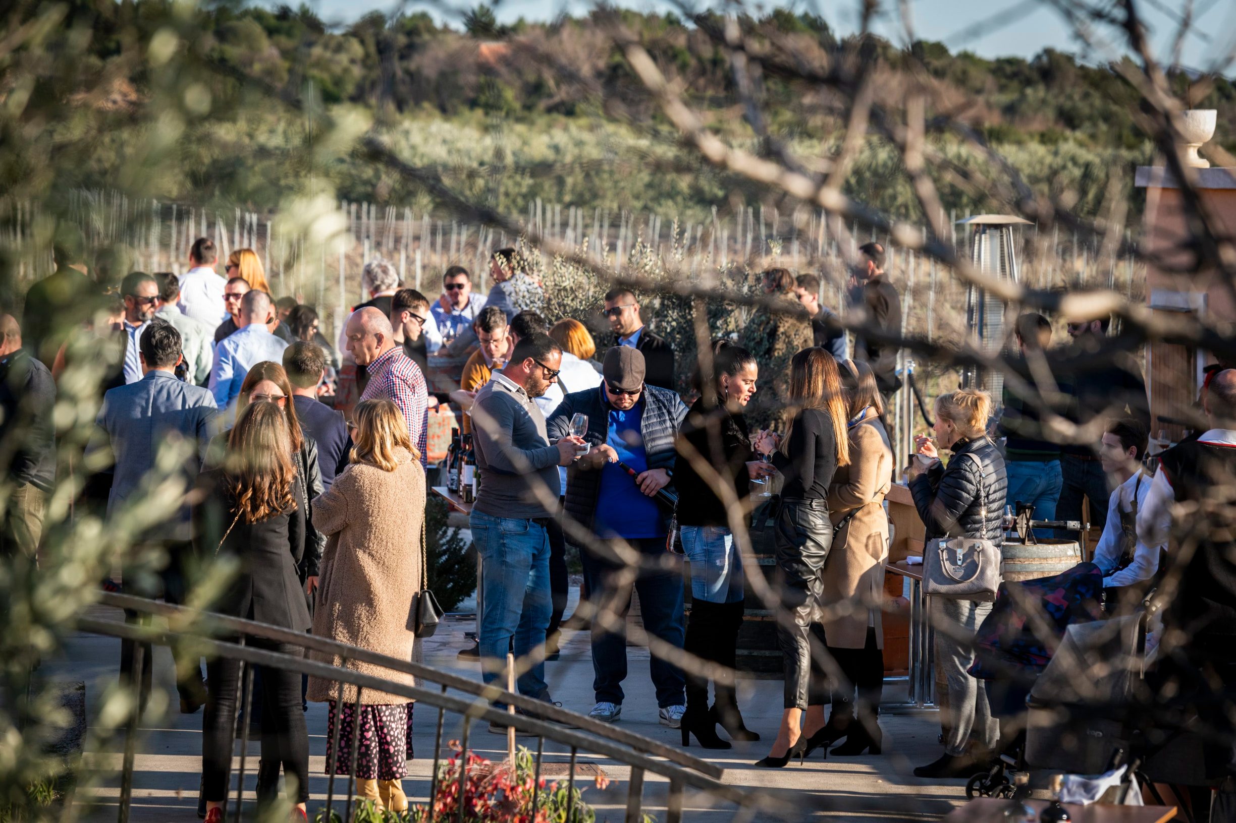 dalmatinovo24-150220