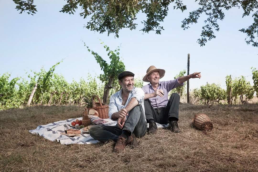 12370811_1258619817497014_1658907009789613240_o