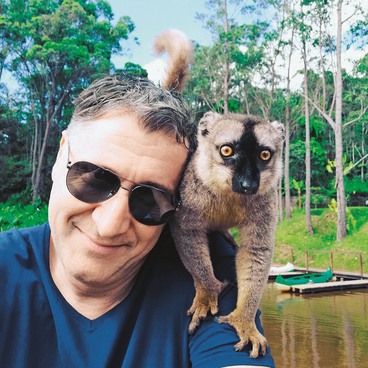 Lemuri se ne boje ljudi i čim se zaustavite, skočit će na vas i tražiti hranu