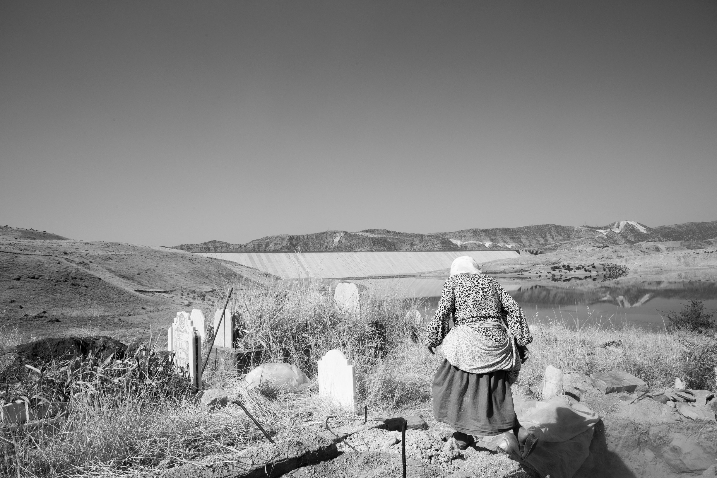 profimedia-0495223646