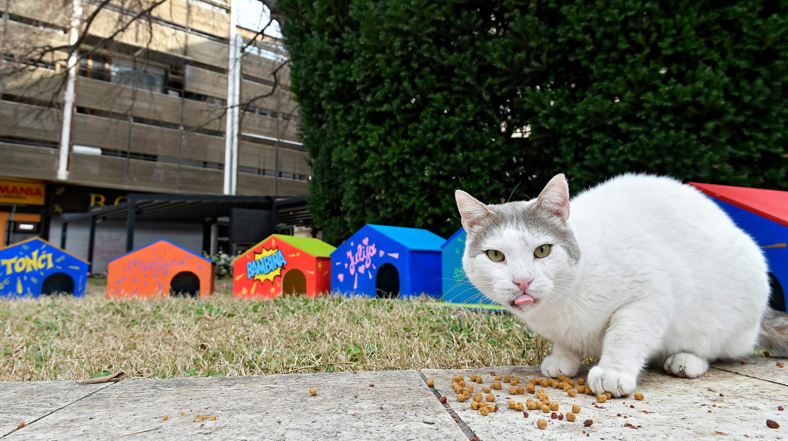 kucice_macke7-030220