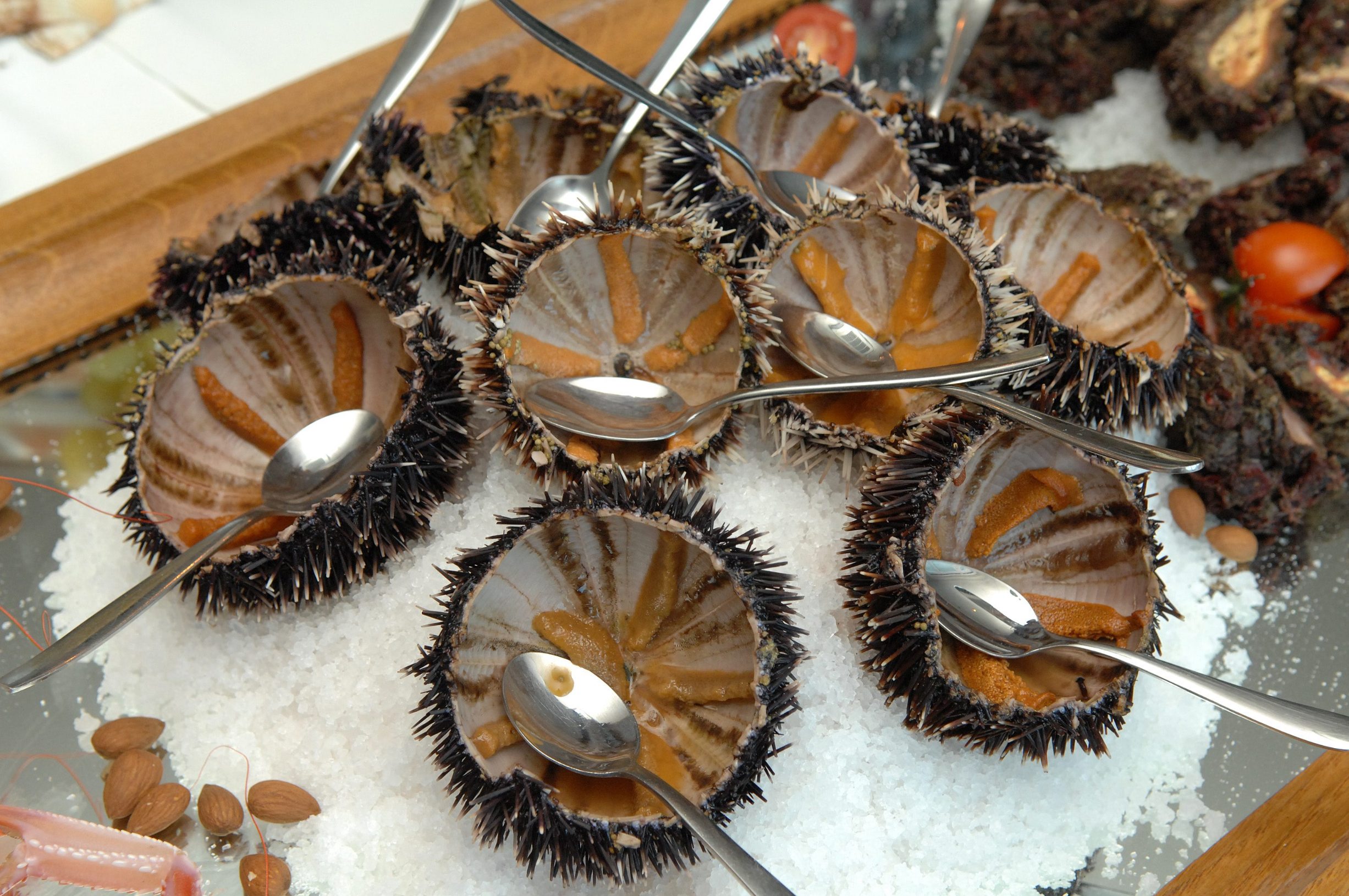 adventska_svijeca5-231212