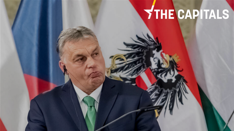 viktor-800x450