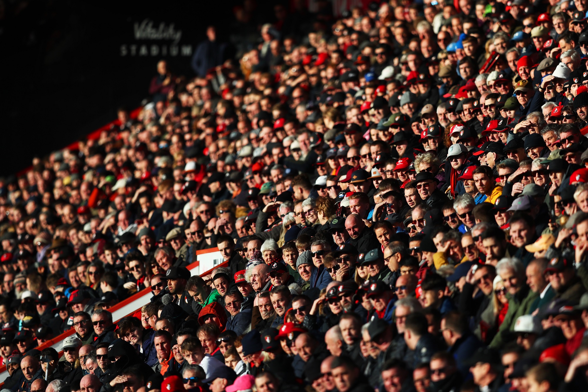 Bournemouth  navijači