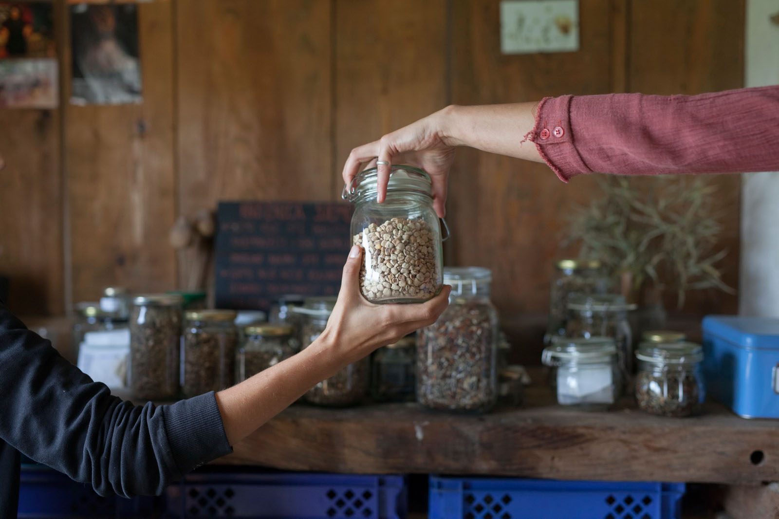 1_foto Neven Petrović_1