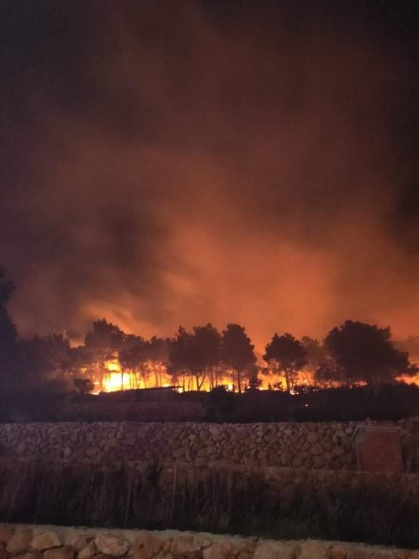 89253228_1449256645234633_5733981588715208704_n