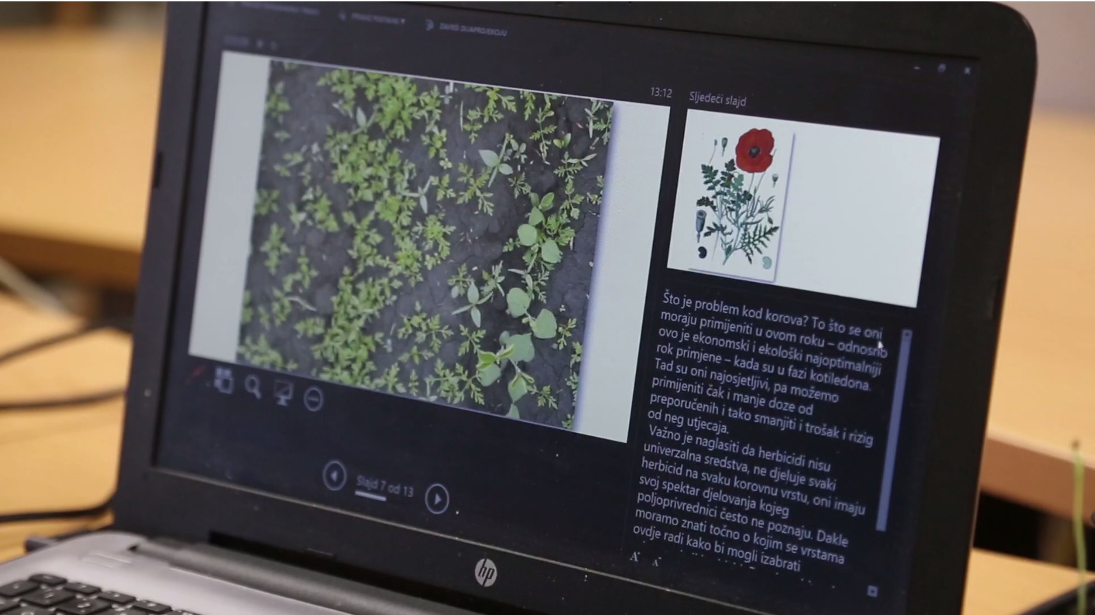 Filipa_Burul_aplikacija_CroCot_2