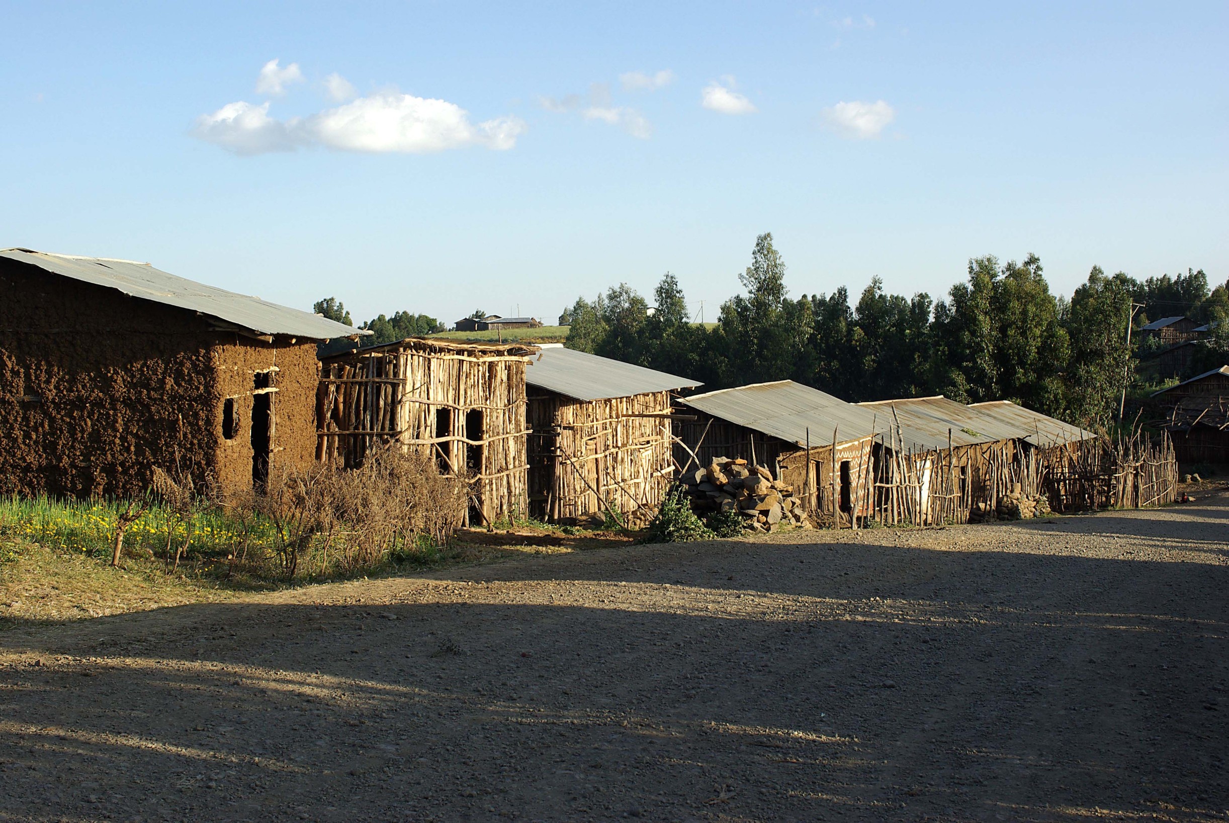 profimedia-0131894479