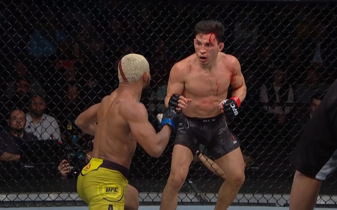Figueiredo vs. Benavidez