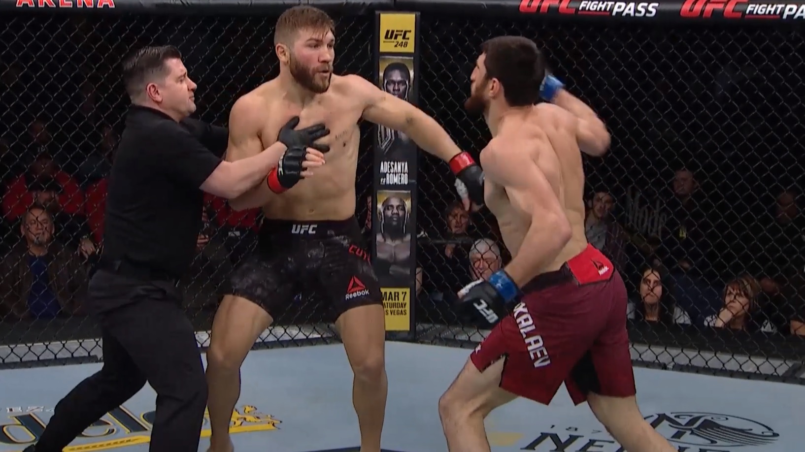 Kevin MacDonald, Ion Cutelaba i Magomed Ankalaev
