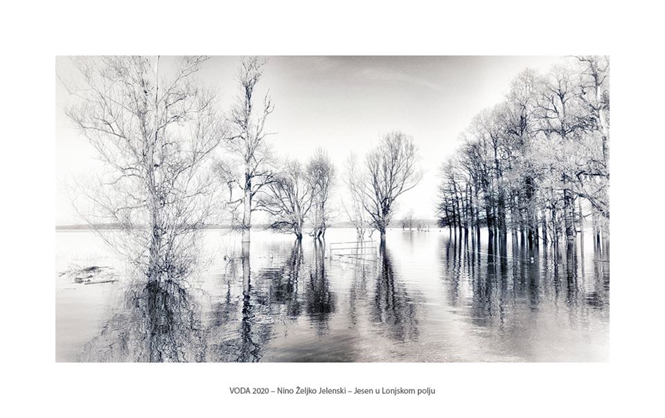 Nino Željko Jelenski - Jesen u Lonjskom polju