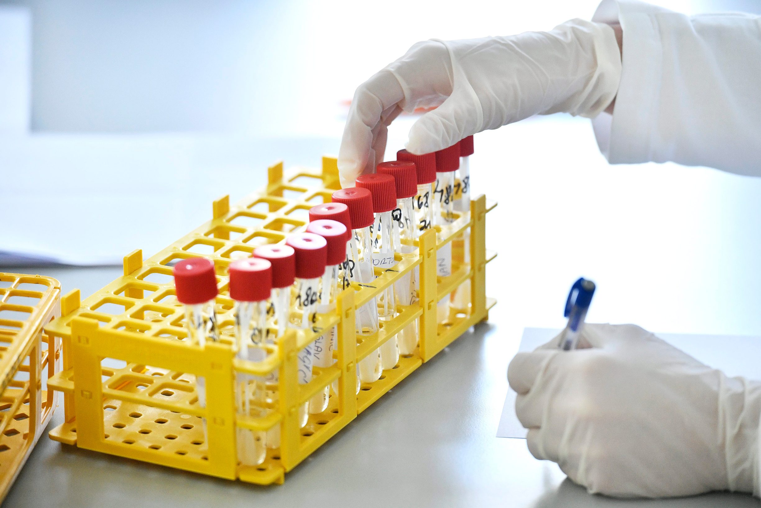 stampar_koronavirus18-200320