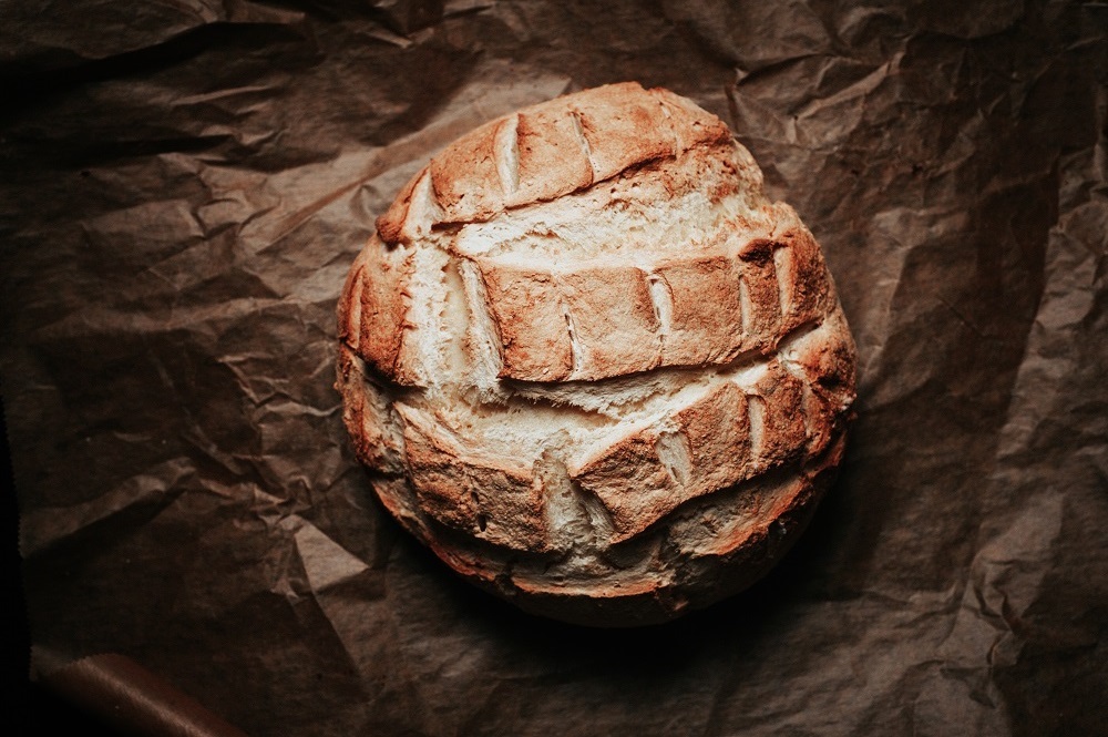 Otvorna Marko Miščević