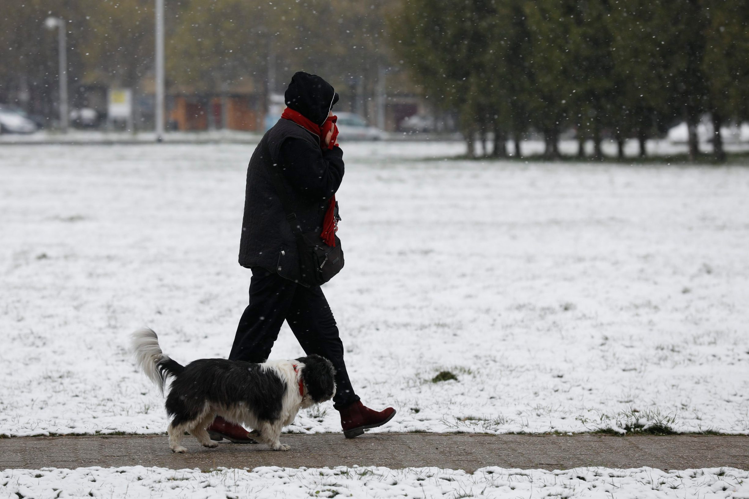 And today, two days after earthquake, Zagreb is covered with snow 