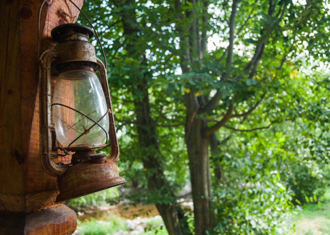 profimedia-0315730079