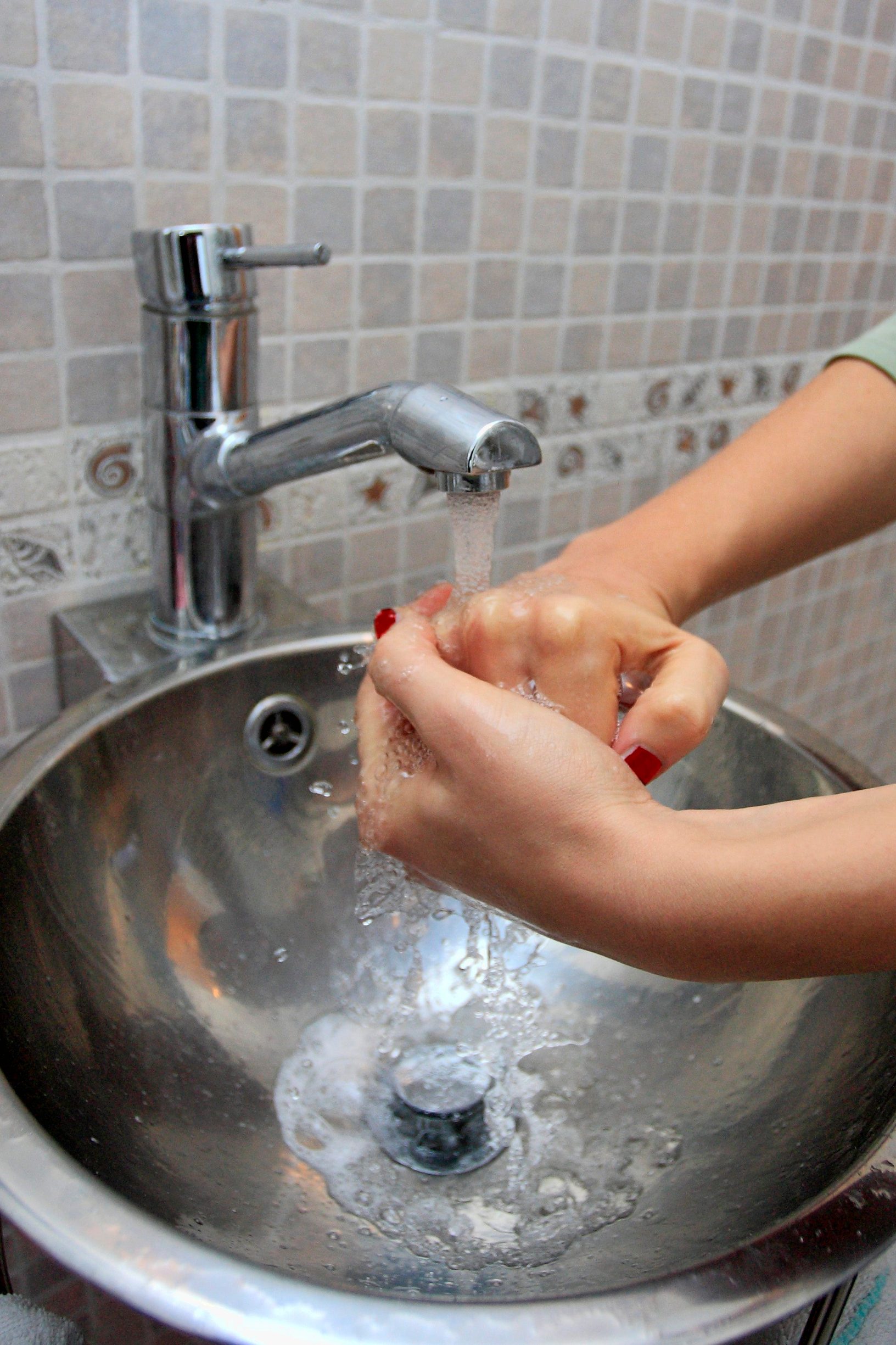 svinjska_gripa8-151109