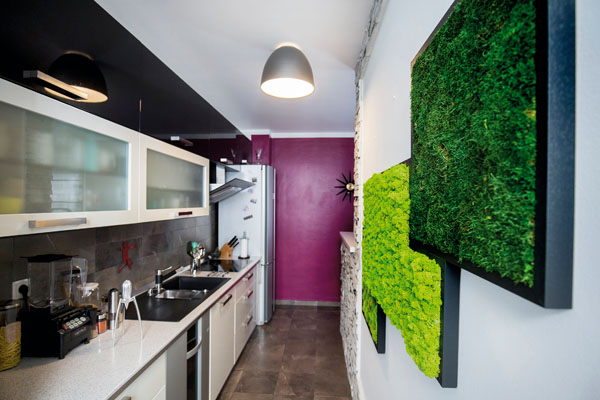 zeleni-kutak-plesa6-270218