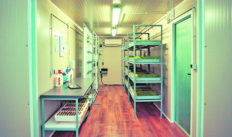 290369-372015-637191276534669993Ante_toni_Digi_1