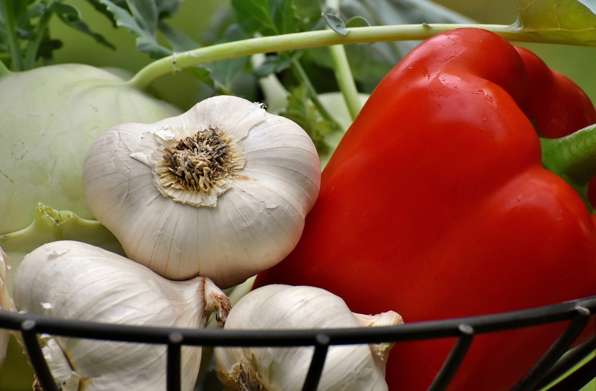 vegetables-3483075_1920