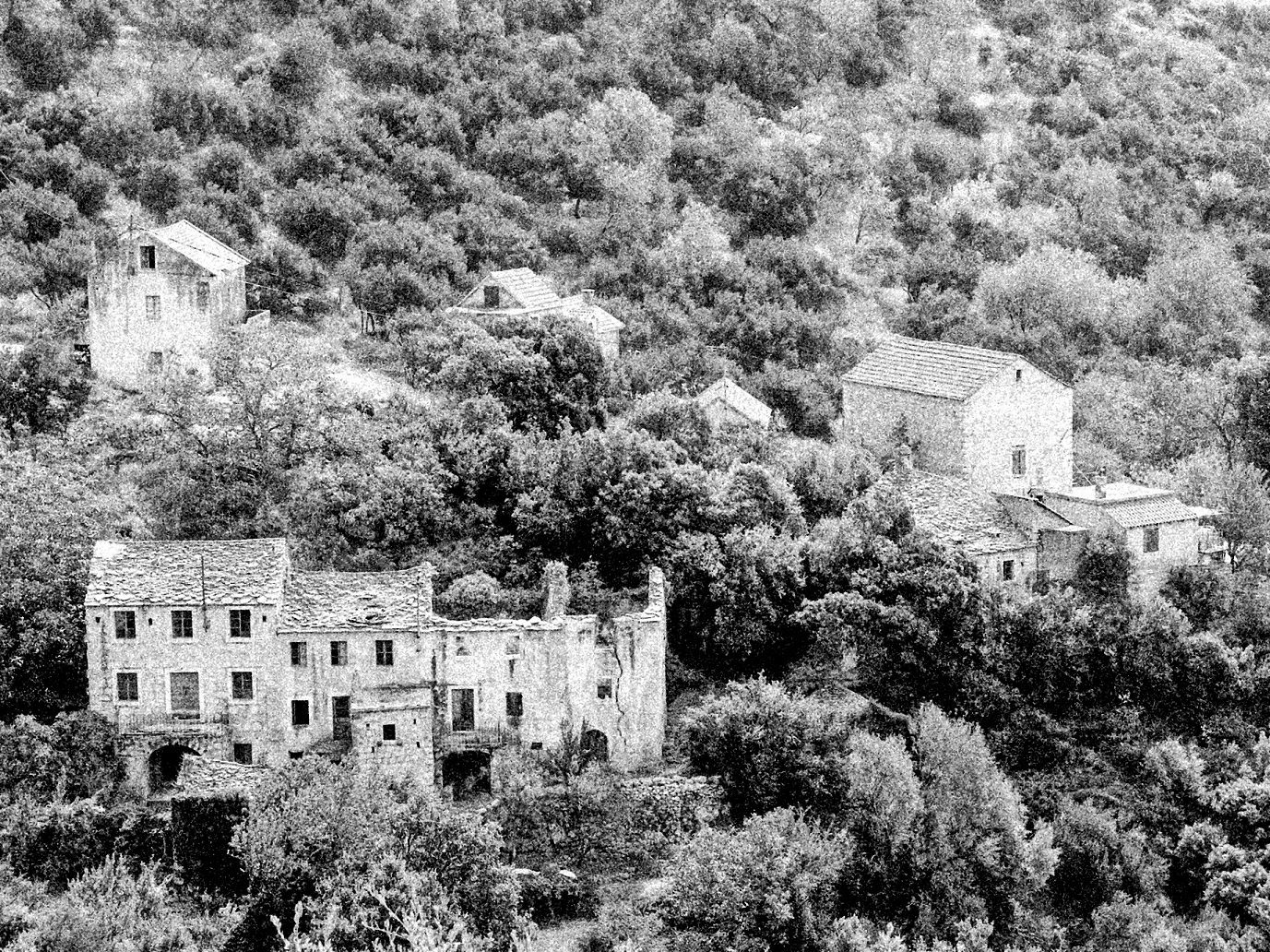 Prvi potres magnitude 5,9 stepeni udario je 7. siječnja 1962. u jedanaest sati prije podneva, te je porušio i oštetio kuće u mnogim selima južno od Makarske, onim u brdu, kao i onim malobrojnijim i dotad siromašnijim, ribarskim, uz obalu