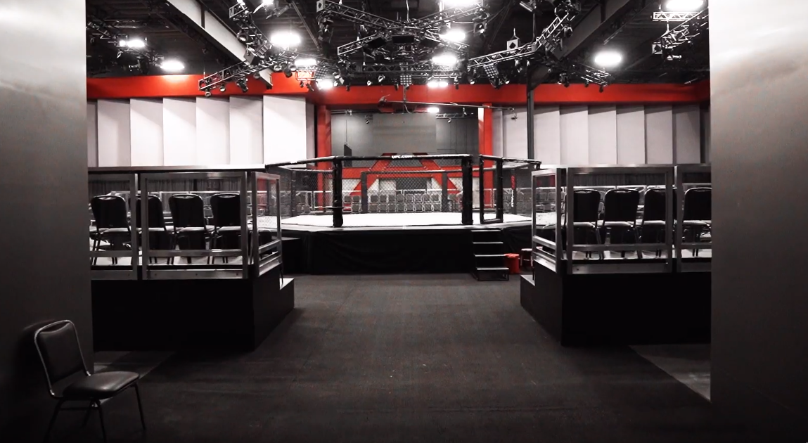 UFC Octagon
