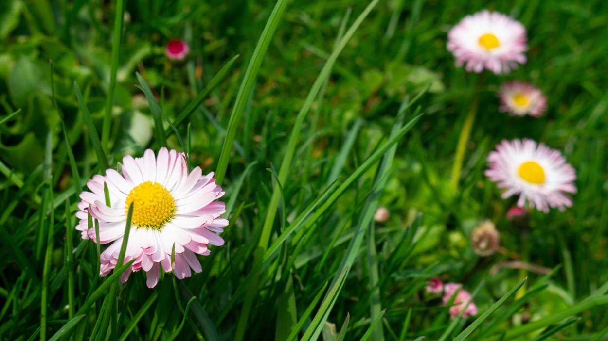 profimedia-0512305813