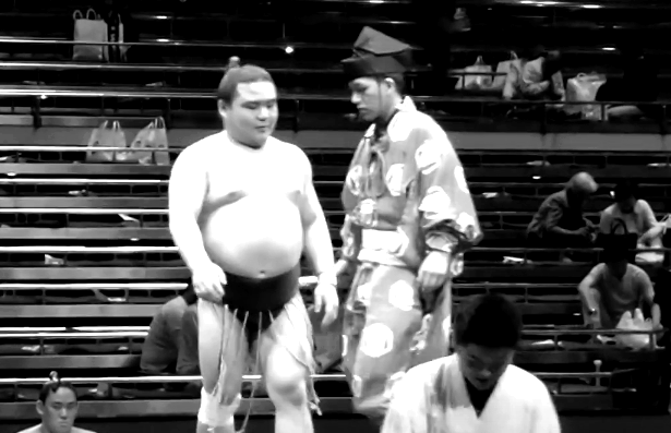 Shobushi