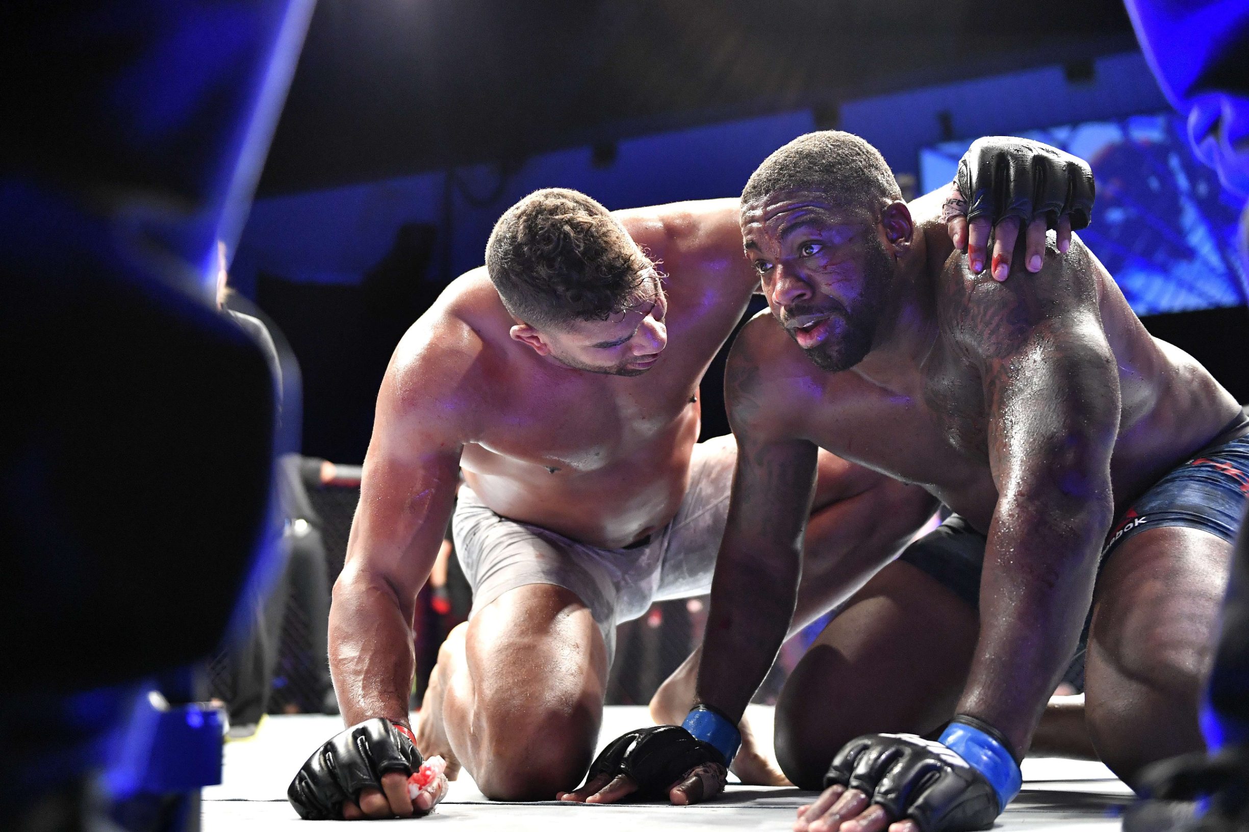 Alistair Overeem i Walt Harris