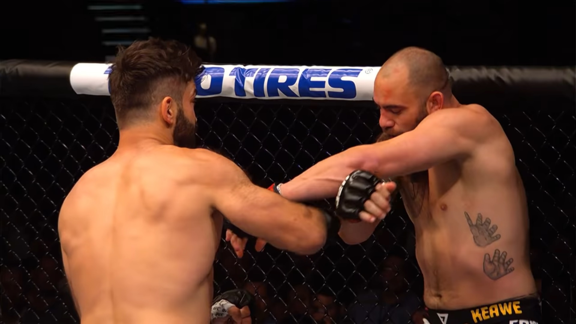 Arlovski vs. Browne