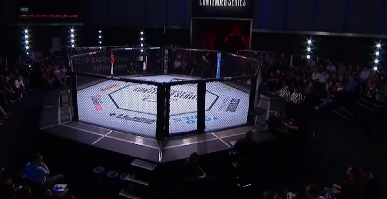 UFC Apex