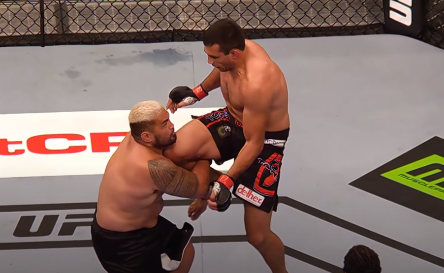 Mark Hunt i Fabricio Werdum