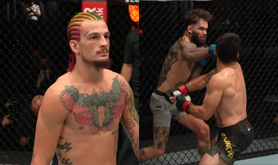 Sean O'Malley i Cody Garbrandt