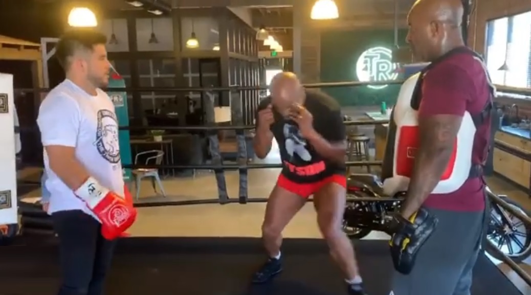 Cejudo, Tyson, Cordeiro