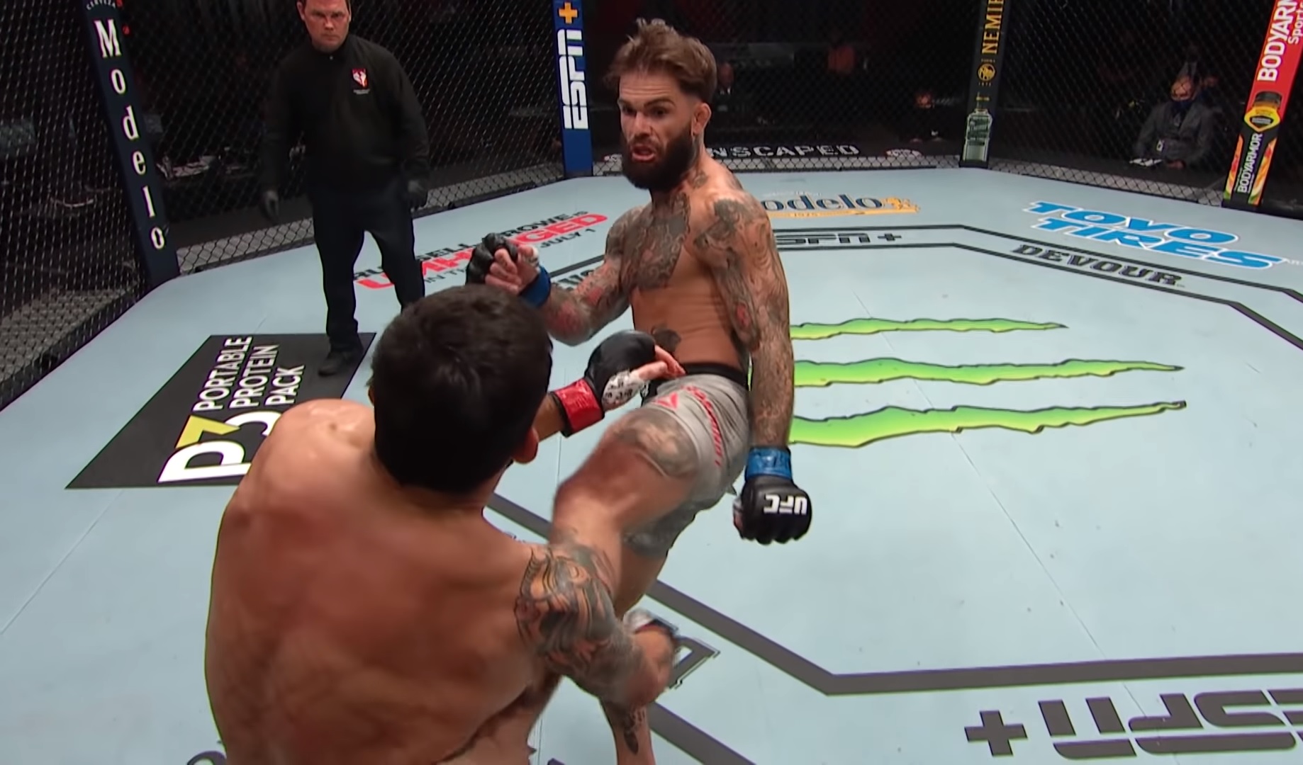 Garbrandt vs. Assuncao